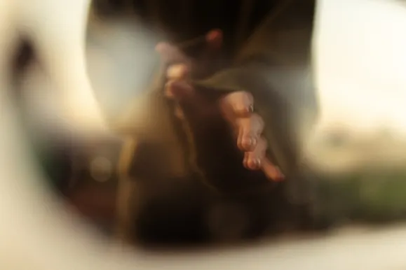 Casino Royal Slots Suporte